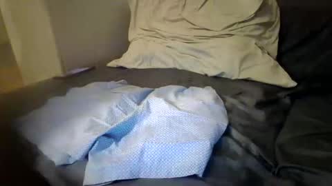 Snapshot of nerlinlee11 chatting on May 11, 2026, 9:01 pm Nerlinlee online show from May 11, 2026, 9:01 pm