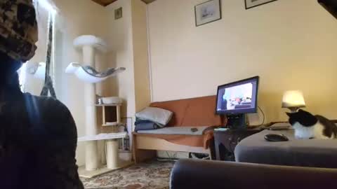 nessieanalemma online show from February 24, 2026, 8:34 am