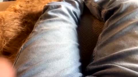 Snapshot of newjerseyhorny chatting on December 15, 2024, 7:10 pm newjerseyhorny online show from December 15, 2024, 7:10 pm