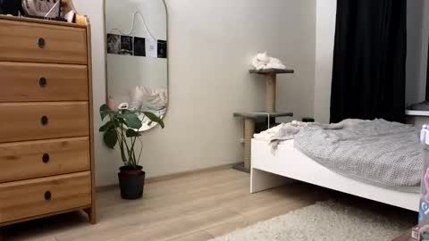 Nova online show from November 11, 2025, 4:18 pm