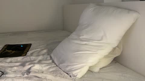 Snapshot of nfeibk chatting on December 25, 2024, 1:30 pm Adrian Von Ziegler online show from December 25, 2024, 1:30 pm