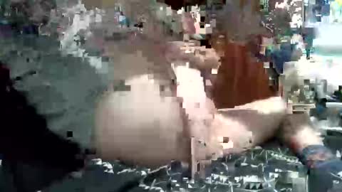 nic2nite online show from February 4, 2026, 11:53 pm