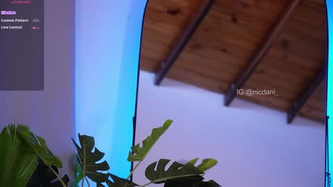 Dani 3 online show from January 18, 2025, 9:13 pm