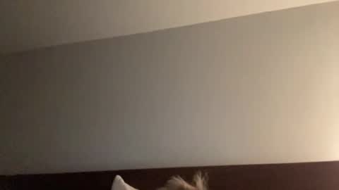 Nice Gentle Naughty online show from December 13, 2024, 11:34 am