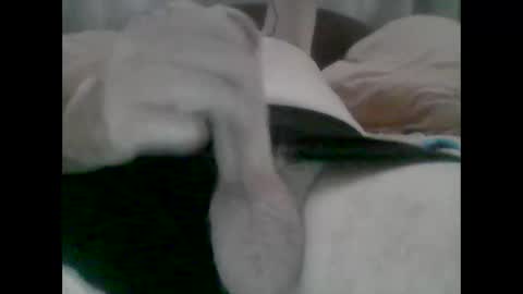 Snapshot of nickthefiddler chatting on October 31, 2025, 5:19 am TheCock online show from October 31, 2025, 5:19 am