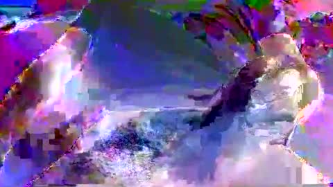 Nickyfruit online show from October 8, 2025, 8:56 am