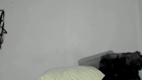 Snapshot of nico_nico_xd chatting on December 13, 2024, 6:21 am Nico online show from December 13, 2024, 6:21 am