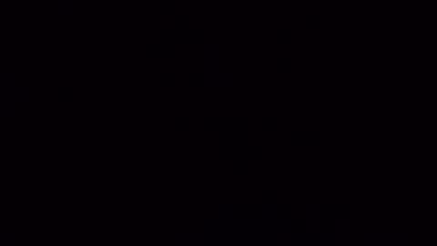 nicoleandbrian online show from December 17, 2024, 9:17 am