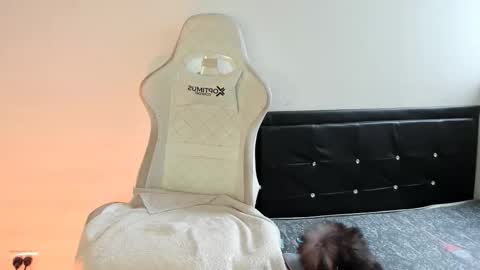 Nicol online show from December 19, 2025, 7:32 pm