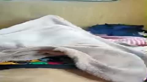 Snapshot of niesmialy89 chatting on July 4, 2026, 5:08 pm niesmialy89 online show from July 4, 2026, 5:08 pm