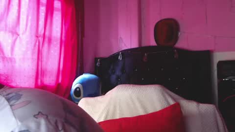 Snapshot of nikkirous_ chatting on May 29, 2026, 12:47 pm Nikkirous online show from May 29, 2026, 12:47 pm