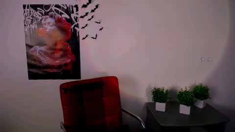 nikonara_ online show from February 12, 2025, 4:11 pm