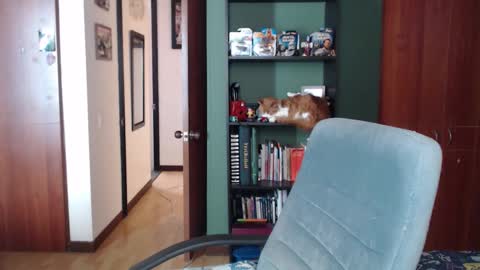 Snapshot of nina_moonbeam chatting on December 3, 2025, 8:07 pm Nina Moon online show from December 3, 2025, 8:07 pm