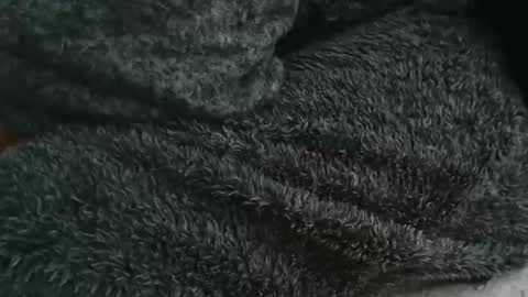 nineinchhard online show from September 14, 2025, 8:46 am