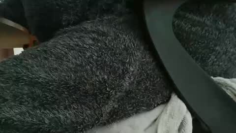 nineinchhard online show from October 22, 2025, 10:26 am