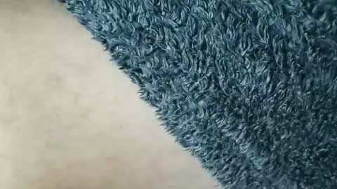 nineinchhard online show from January 12, 2026, 12:10 pm