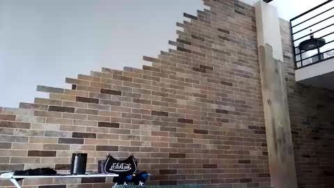 NIVIA WOLFE online show from March 17, 2026, 12:15 am