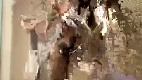 nnm110 online show from February 9, 2025, 9:37 am