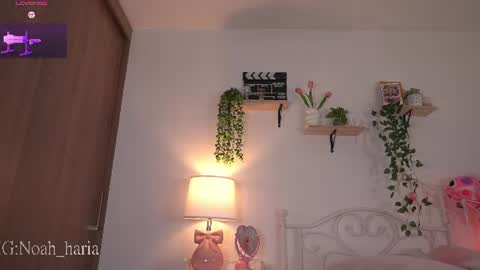 noah__23 online show from June 20, 2026, 11:07 pm