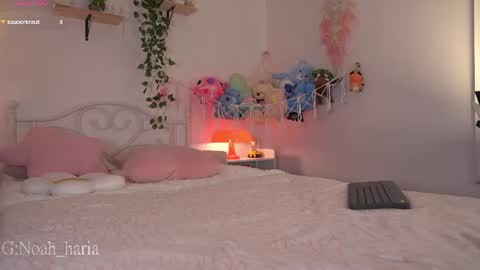noah__23 online show from June 23, 2026, 12:08 am