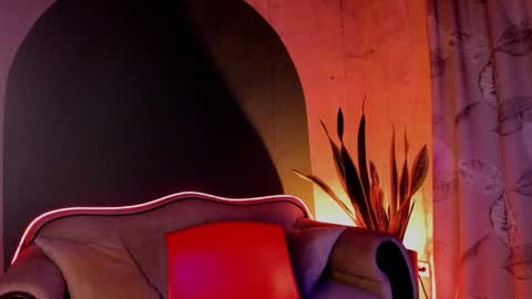 Noah online show from December 21, 2024, 8:28 am