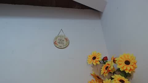 Snapshot of noah_miller7 chatting on January 8, 2025, 10:15 am Noah Millers online show from January 8, 2025, 10:15 am