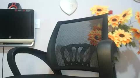 Snapshot of noah_miller7 chatting on January 12, 2025, 4:52 am Noah Millers online show from January 12, 2025, 4:52 am