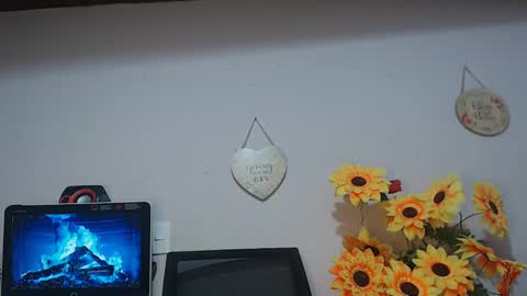 Snapshot of noah_miller7 chatting on January 13, 2025, 9:30 am Noah Millers online show from January 13, 2025, 9:30 am