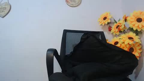 Snapshot of noah_miller7 chatting on January 16, 2025, 11:15 am Noah Millers online show from January 16, 2025, 11:15 am