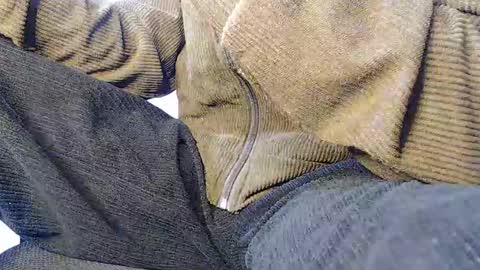 Snapshot of noah_miller7 chatting on January 20, 2025, 8:30 am Noah Millers online show from January 20, 2025, 8:30 am