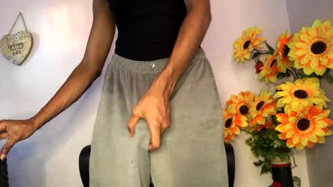 Snapshot of noah_miller7 chatting on January 23, 2025, 10:22 pm Noah Millers online show from January 23, 2025, 10:22 pm