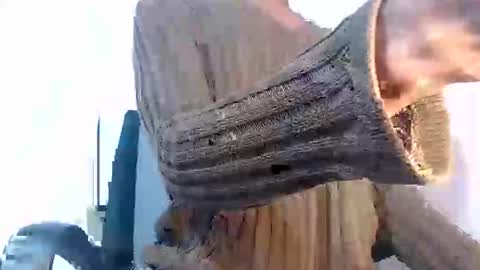 Snapshot of noah_miller7 chatting on January 27, 2025, 10:27 am Noah Millers online show from January 27, 2025, 10:27 am