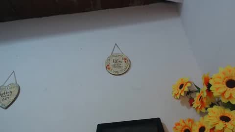 Snapshot of noah_miller7 chatting on February 1, 2025, 7:47 am Noah Millers online show from February 1, 2025, 7:47 am