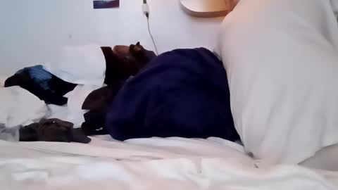 Noah Wesley online show from January 18, 2025, 2:12 pm