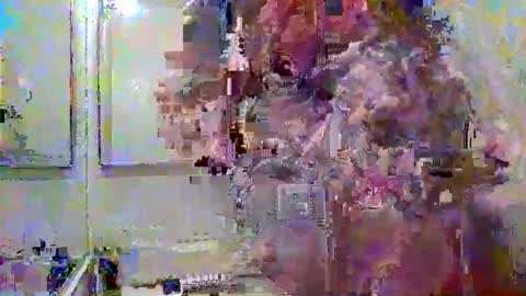 noboundariesinprivate online show from March 18, 2026, 4:37 am