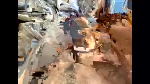 nolplus online show from March 7, 2025, 7:19 am