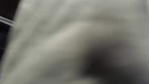 Snapshot of nombah_ chatting on December 16, 2025, 1:21 am nombah_ online show from December 16, 2025, 1:21 am