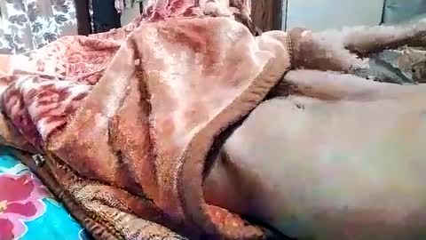 Snapshot of nooby942461 chatting on March 1, 2025, 5:31 am sim nib online show from March 1, 2025, 5:31 am