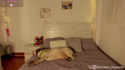 Snapshot of norma_jeaane chatting on October 4, 2025, 8:29 pm Norma Jeaane online show from October 4, 2025, 8:29 pm