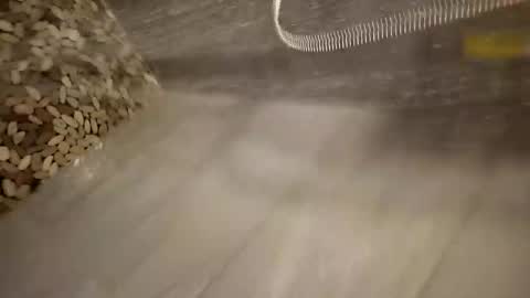 notme710 online show from March 18, 2026, 11:46 am