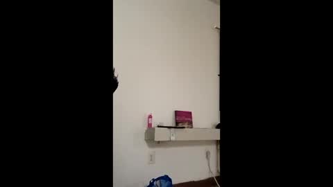 Snapshot of notmedesigned chatting on March 17, 2026, 9:34 am notmedesigned online show from March 17, 2026, 9:34 am