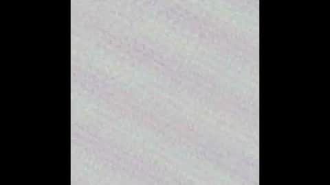 Novinhoo online show from March 9, 2026, 2:26 am