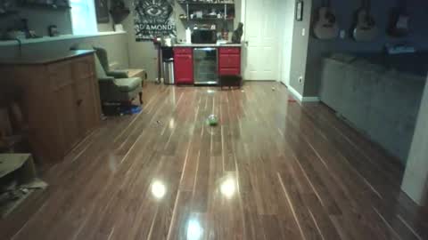 Snapshot of nudistguy194549 chatting on March 15, 2026, 10:05 pm Nudistguy online show from March 15, 2026, 10:05 pm