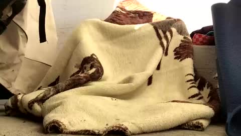 nuevotiempo online show from February 23, 2026, 12:57 pm