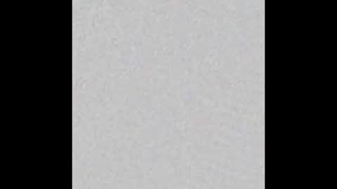 Obsidian stallion online show from December 21, 2025, 5:20 pm