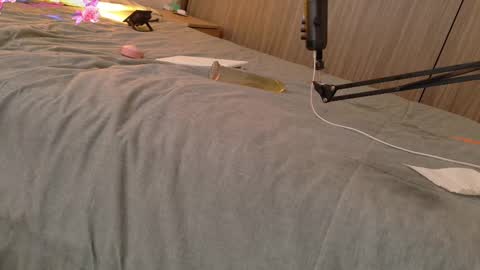 Snapshot of ocean_your_squirter chatting on February 11, 2025, 1:09 pm Your Ocean baby 3 online show from February 11, 2025, 1:09 pm