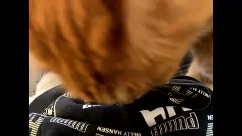 Snapshot of oggs48 chatting on October 21, 2025, 11:22 am oggs48 online show from October 21, 2025, 11:22 am