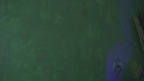 Julia online show from March 10, 2025, 7:32 am