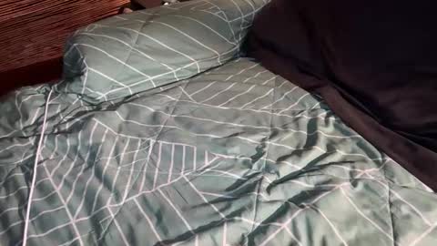 Snapshot of ohyeah2028 chatting on March 6, 2026, 2:41 am ohyea online show from March 6, 2026, 2:41 am