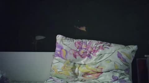 Snapshot of olivepeach chatting on April 23, 2026, 2:19 pm Oil online show from April 23, 2026, 2:19 pm